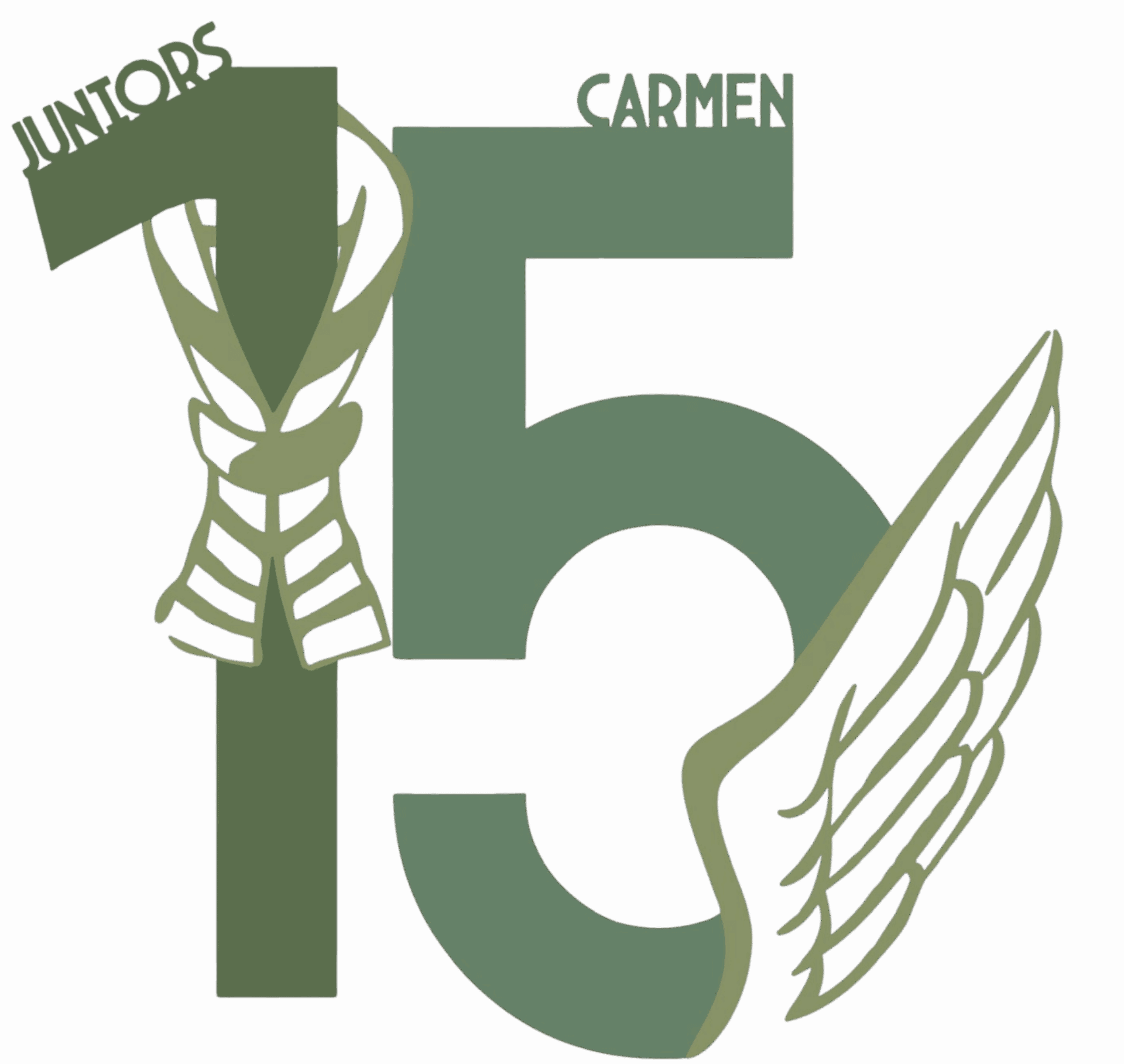 JUNIORS EL CARMEN CASTELLÓN